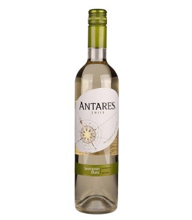 Viña Antares Sauvignon Blanc